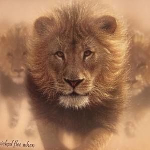 Meet your Posher, Kerri